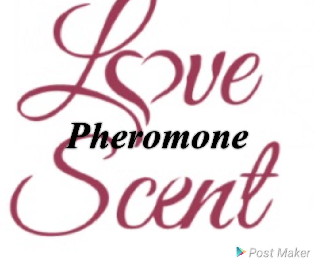 Pheromone After Shower Body Souffle'